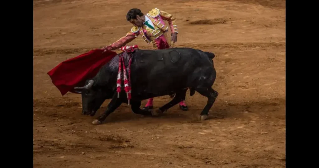 El Torero: The Art, History, and Controversy of the Spanish Bullfighter1 El Torero: The Art, History, and Controversy of the Spanish Bullfighter1